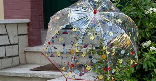 <strong>PARAPLUIES</strong>