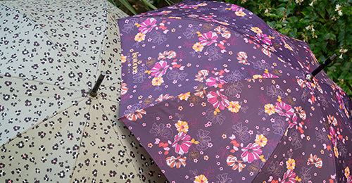 <strong>PARAPLUIES</strong>