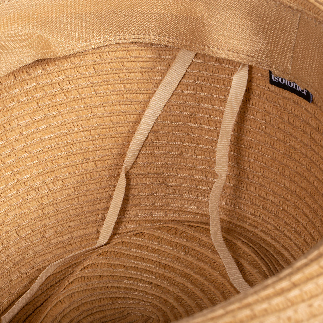Chapeau Femme trilby bande Blanche